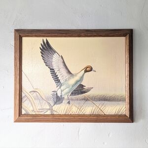 Vintage Framed Northern Pintail Duck Art – Collectors Corner Inc. – Excellent Co